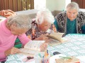 Флагман - Сертолово - пансионат для пожилых людей фото №2
