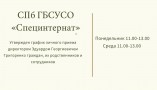 СПб ГБСУСО Специнтернат - пансионат для пожилых людей фото