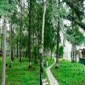 Южно-Сахалинский дом-интернат для престарелых и инвалидов - пансионат для пожилых людей фото №3